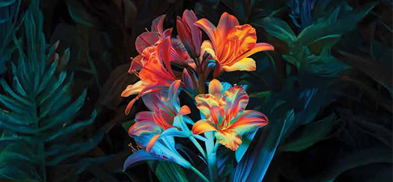 Cinematic Visual Depth